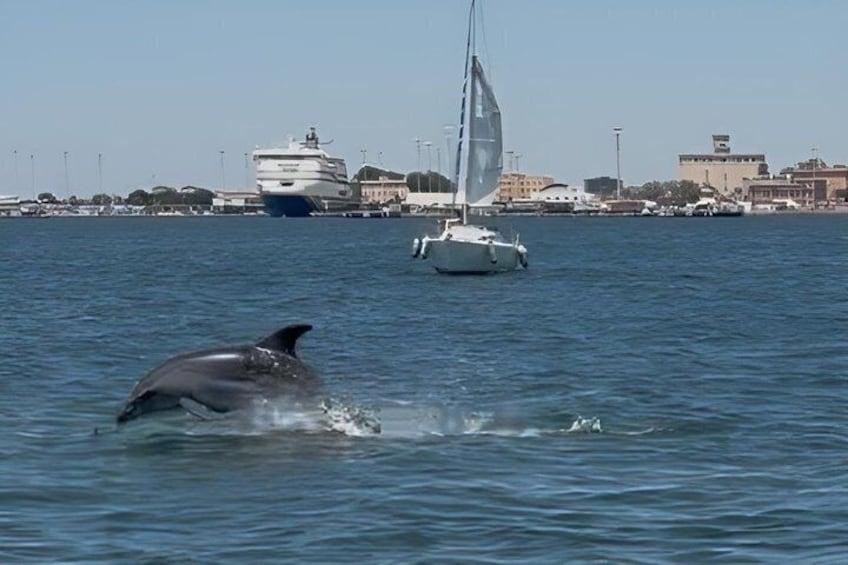 Yacht Tour in the Gulf of Cagliari with Aperitif 3