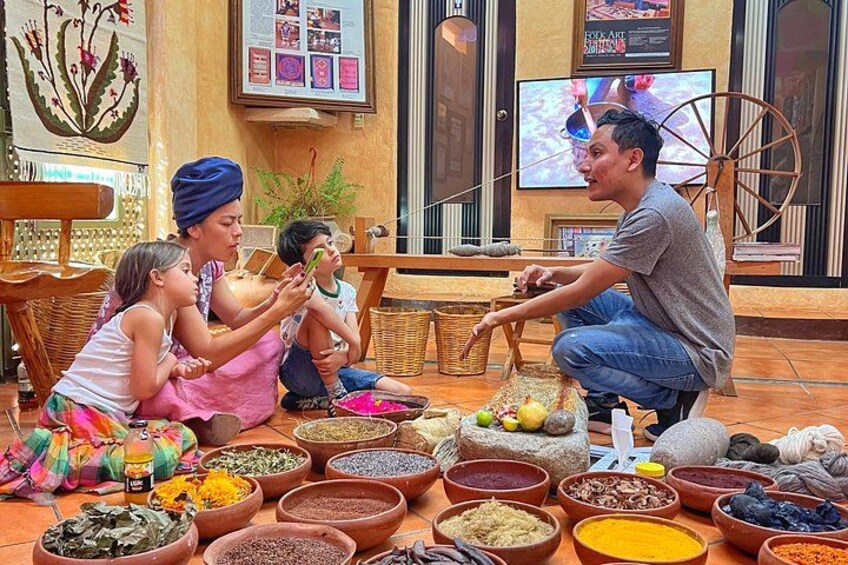 Tour : Monte Alban, Alebrijes, Teotitlan, Mezcal and Tule Tree 2
