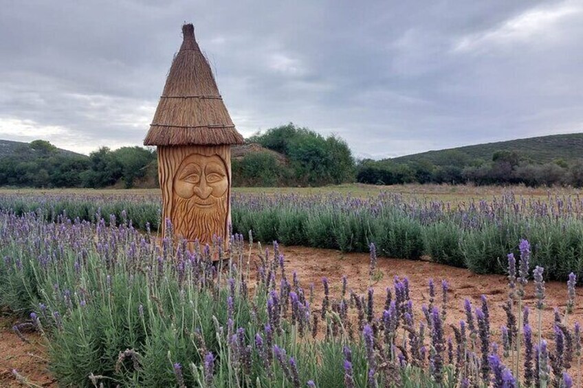 A wooden sculpture with a face in a field of lavender. 3