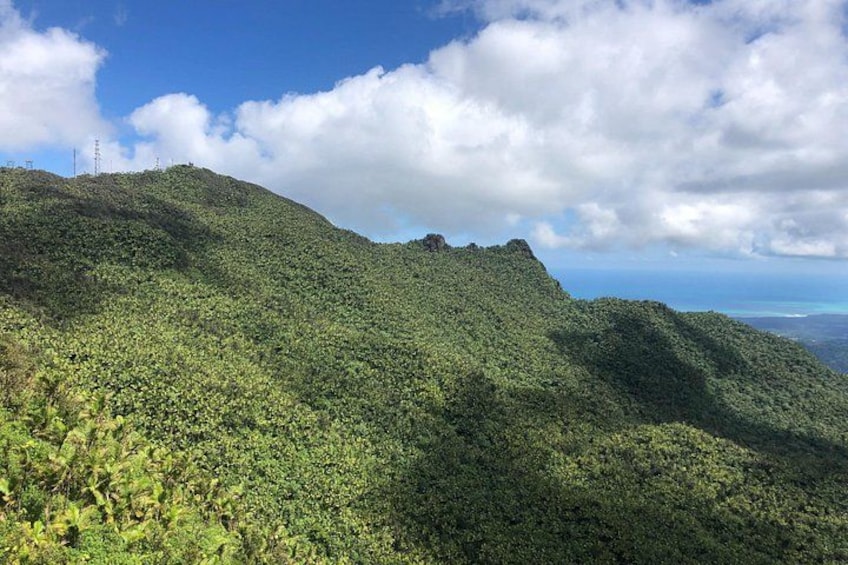 Scenic view of the forest and the ocean. 1