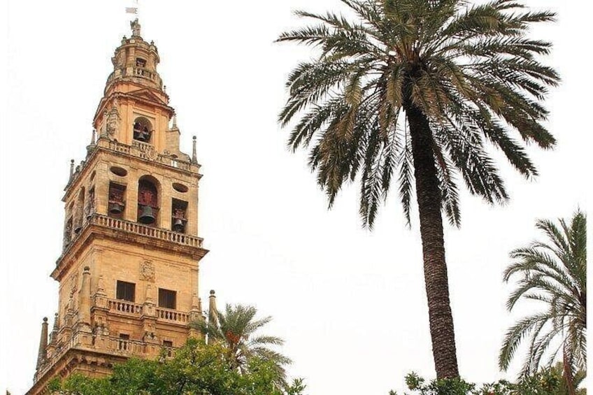 A historic tower with intricate architecture and a tall palm tree. 4