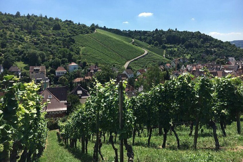 Stuttgart & Wine 4