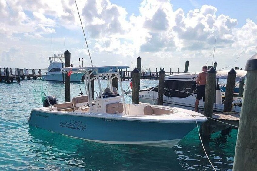 Dock Hop Cruise in Sarasota 2