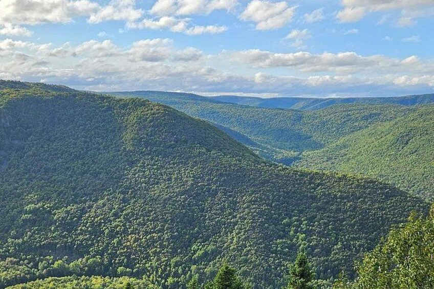Un paisaje montañoso con densa cubierta forestal y un valle. 5