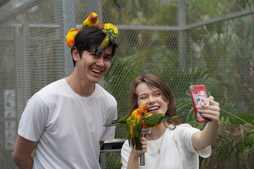 Gyeonggi Begonia Bird Park Ticket 5
