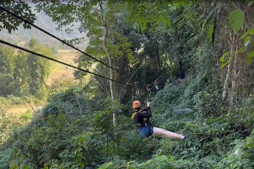 A person zip-lining through a forested area. 3