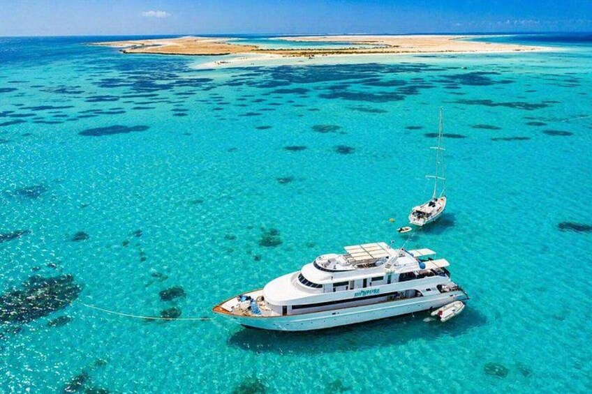 Tiran Island Snorkeling & Diving Experience In Sharm El-Sheikh 4