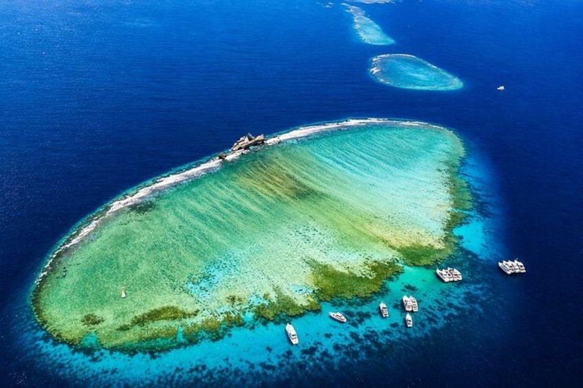 Tiran Island Snorkeling & Diving Experience In Sharm El-Sheikh 2