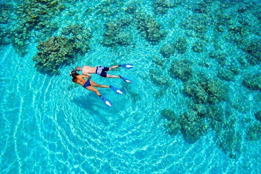 Tiran Island Snorkeling & Diving Experience In Sharm El-Sheikh 4