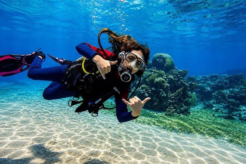 Tiran Island Snorkeling & Diving Experience In Sharm El-Sheikh 2