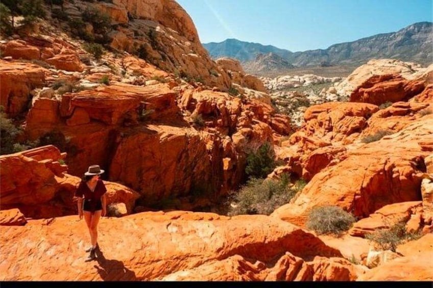 Una persona de pie sobre una formación rocosa roja, con un paisaje desértico al fondo. 2