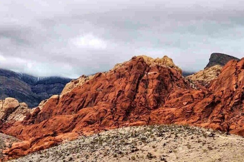Shared Tour in Red Rock Canyon 4