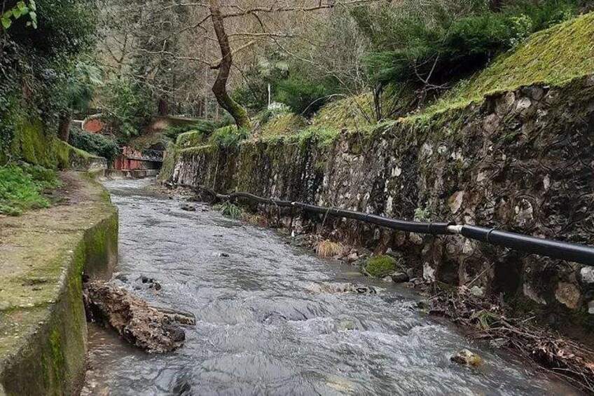 Yalova Thermal Hot Springs Day Trip from Istanbul 4