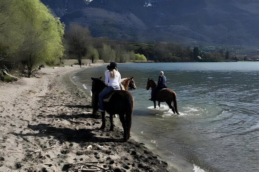 Una persona montando a caballo a lo largo de una orilla de lago, con árboles y montañas al fondo. 2