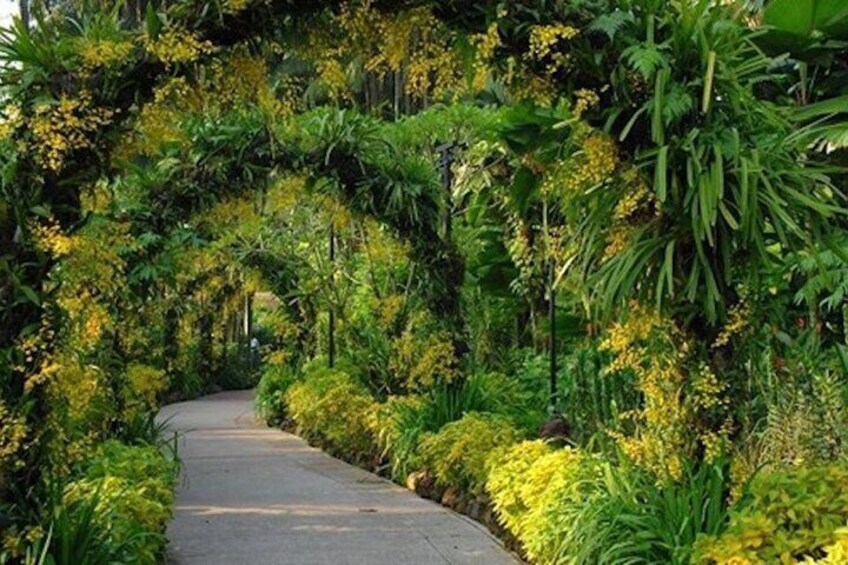 Un sentier bordé d’une végétation luxuriante et de fleurs jaunes. 3