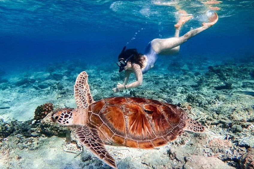 Two Day Trip to Gili Islands with Pickup from Bali 3