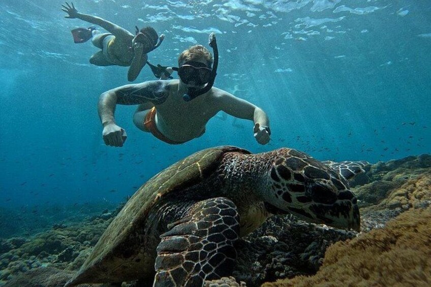Two Day Trip to Gili Islands with Pickup from Bali 2