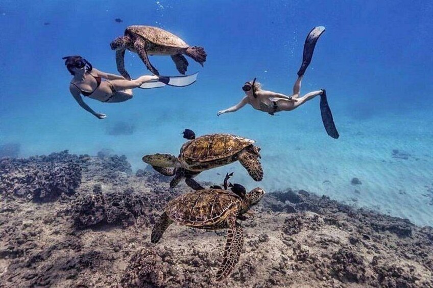 Two Day Trip to Gili Islands with Pickup from Bali 4