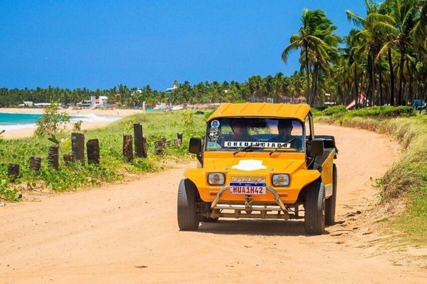 Buggy Tour Ponta to Ponta Port DE Galinhas 3