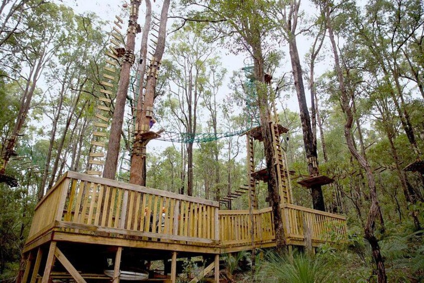 A wooden treehouse platform with a ladder, surrounded by tall trees in a forest. 3