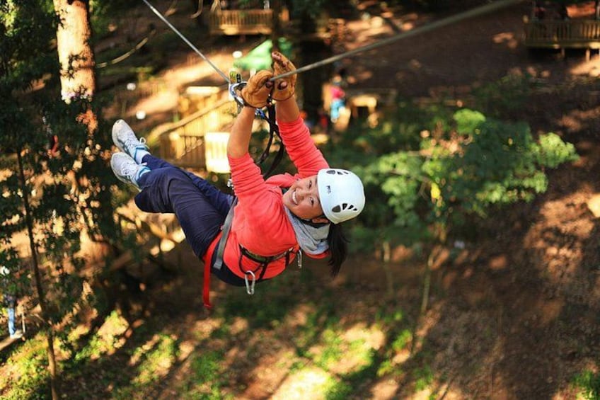 A person zip-lining through a forested area. 1
