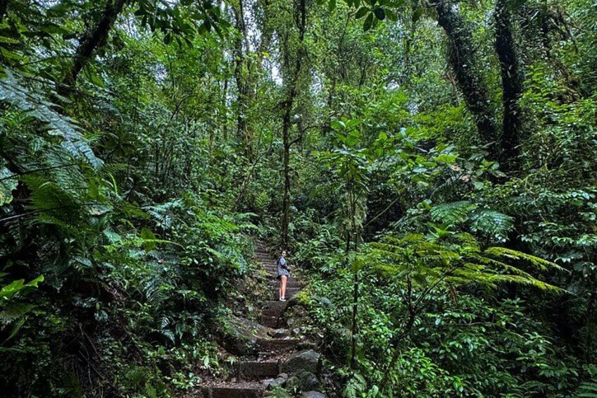 Private Blue Falls Tour from San José – Hidden Waterfall Escape 2