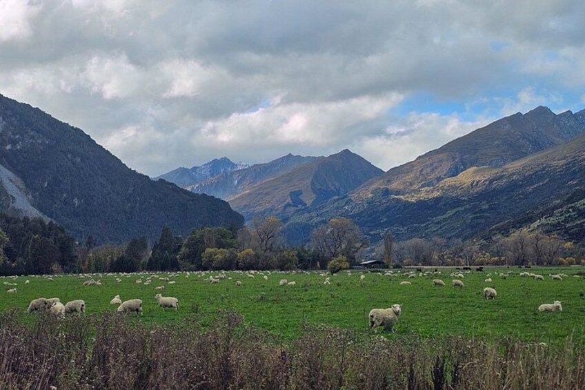 Paradise Road, Glenorchy 3