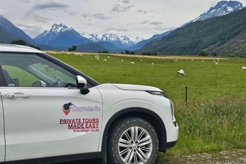 A white car with 'Travel In Go' branding parked in a grassy field with sheep and mountains in the background. 2