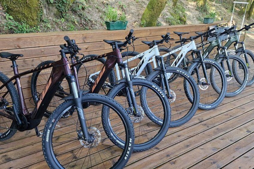 E-Bike Guided Tour Vale do Lima and Parque Nacional Peneda-Gerês 3