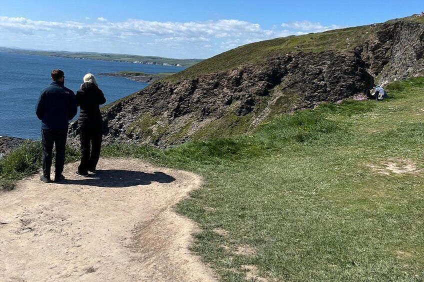 A dirt path leading to a grassy area with a rocky cliff and a body of water in the background. 3