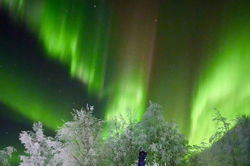 The aurora borealis over a snowy landscape with a person observing. 3