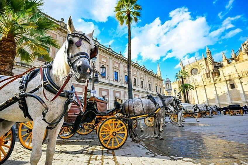 A horse-drawn carriage in front of a historic building with palm trees and cobblestone streets. 2