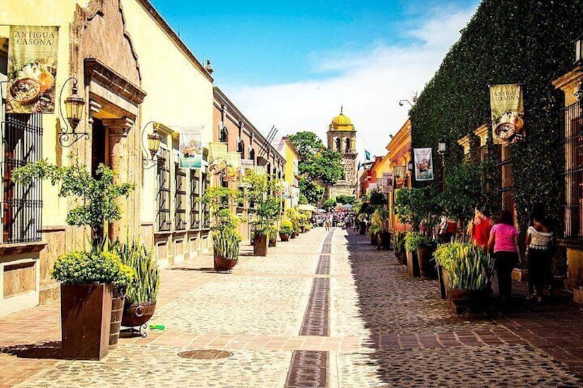 A cobblestone street lined with buildings, potted plants, and a clear blue sky. 5