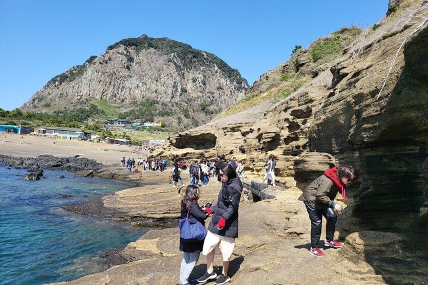 Private Tour Jeju Spirited Garden and South Area in Jeju Island 3