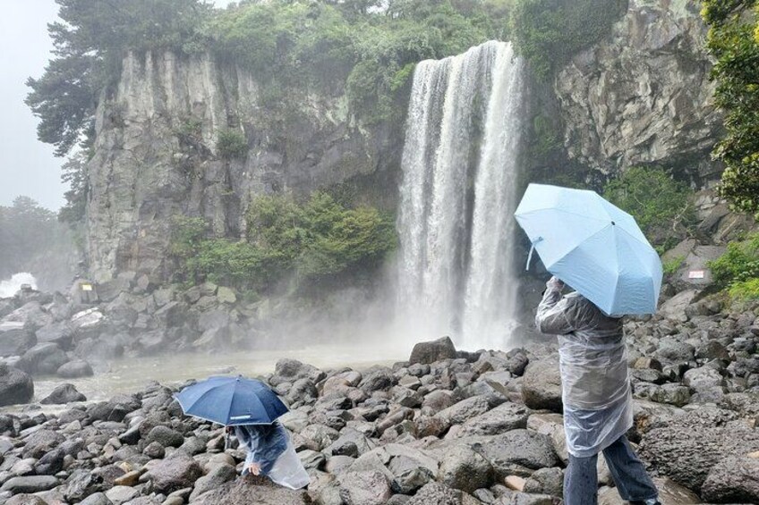 Private Tour Jeju Spirited Garden and South Area in Jeju Island 4