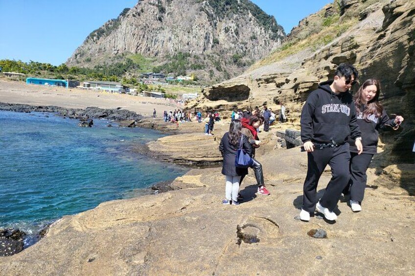 Private Tour Jeju Spirited Garden and South Area in Jeju Island 2