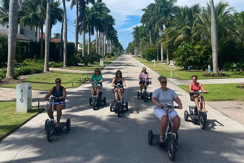 A group of people riding Segway scooters down a palm tree-lined street. 5