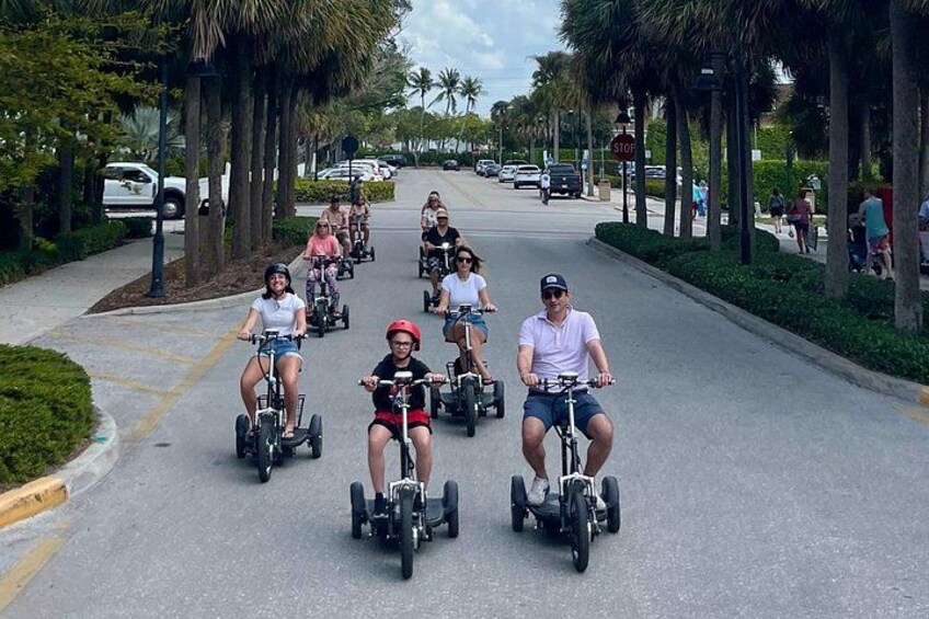 People riding Segways on a tree-lined street. 3