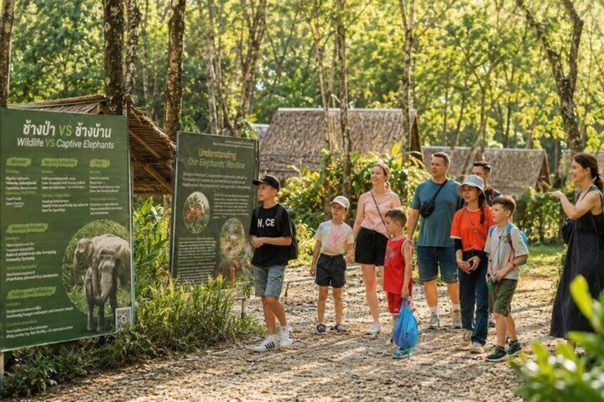 A group of people standing in a forested area with informational signs about elephants. 3