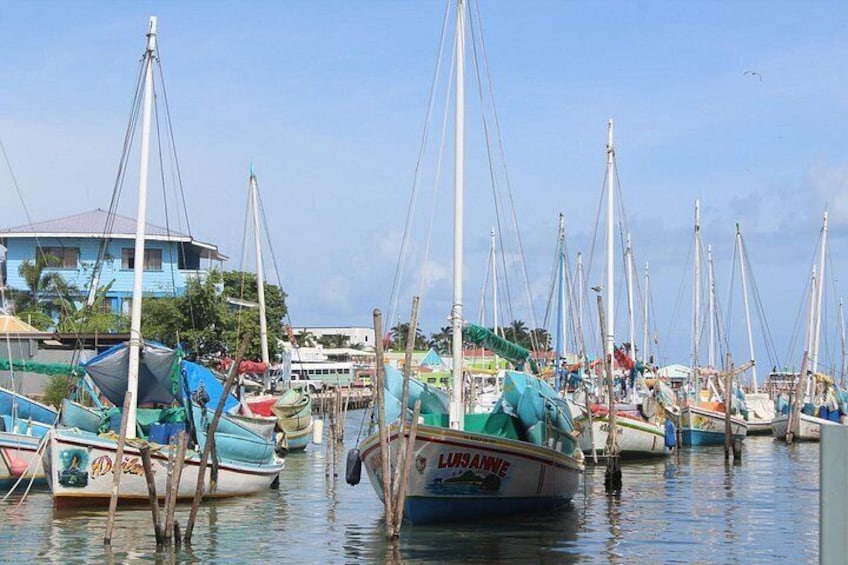 TukTuk Belize City Sightseeing Tour 2