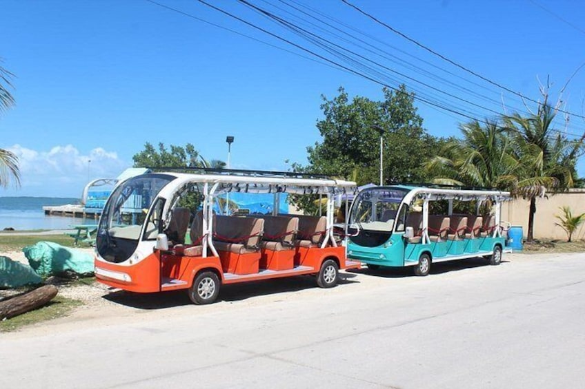 TukTuk Belize City Sightseeing Tour 2