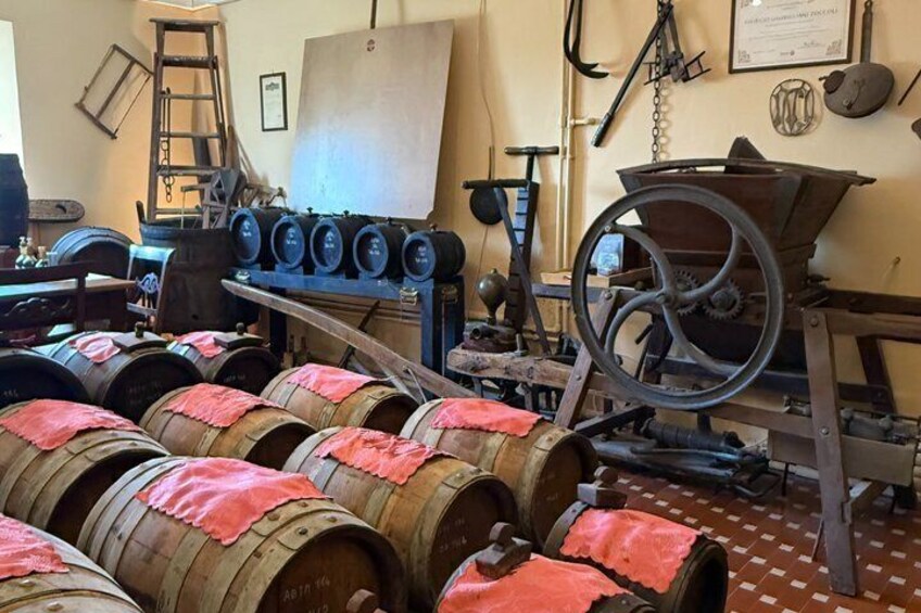 Lunch and Tasting of Traditional Balsamic Vinegar of Modena 3