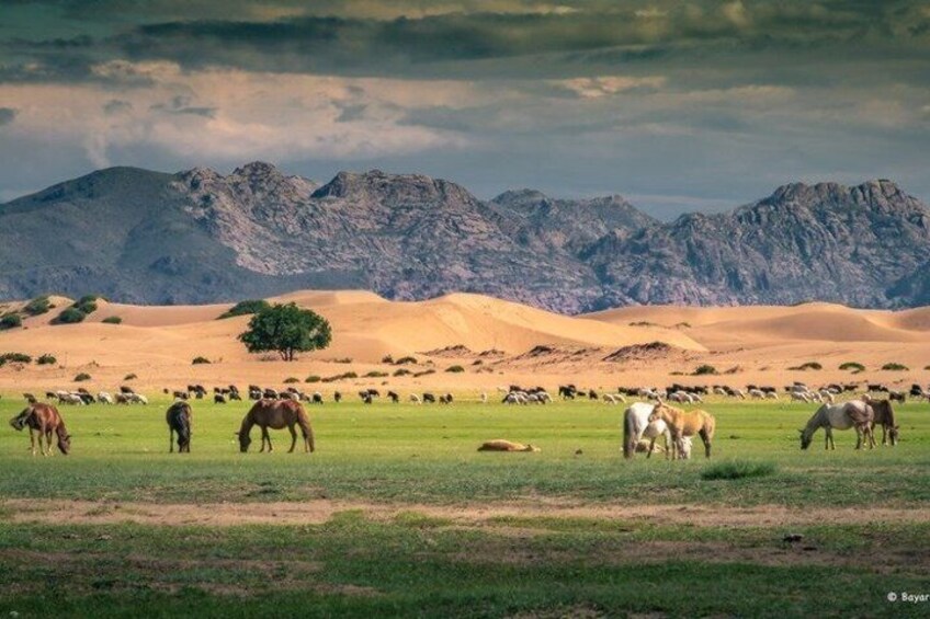 Mini Gobi & Karakorum Horseback Adventure 2