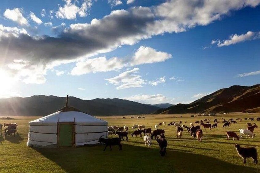 A yurt, grazing animals, and a mountainous landscape. 3