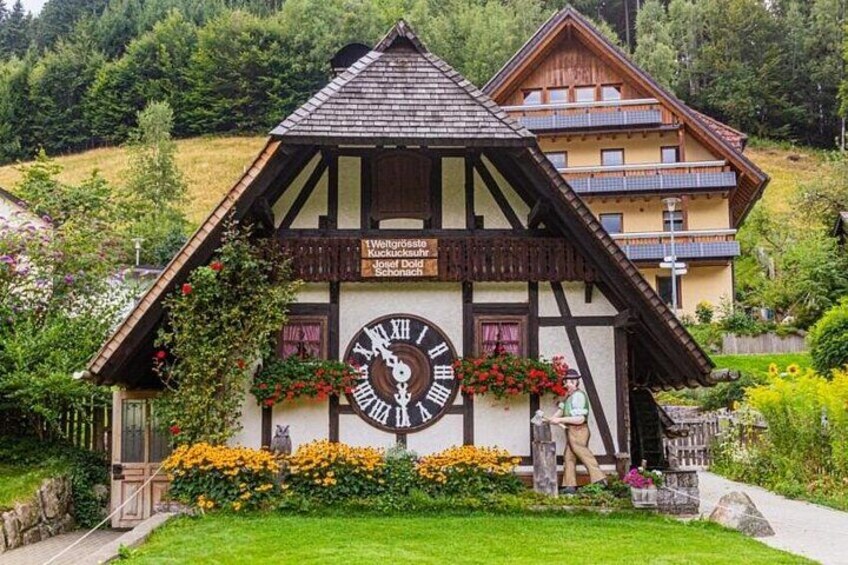 Zurich Black Forest (Private Tour) 1