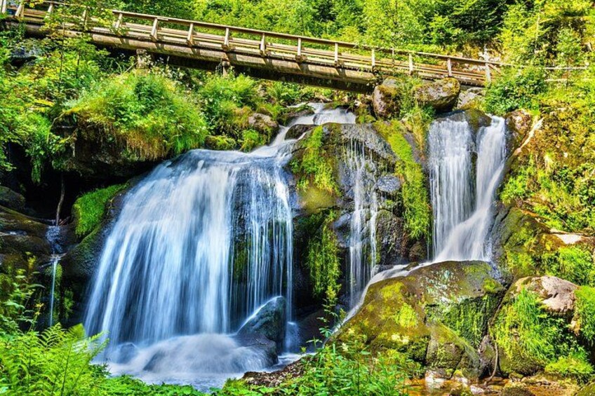 Zurich Black Forest (Private Tour) 2