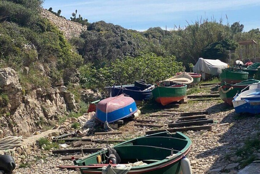 Des bateaux sont amarrés sur une plage rocheuse, avec une végétation en arrière-plan. 5