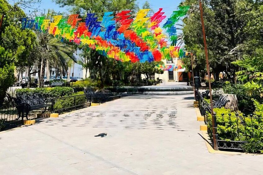A paved pathway with colorful flags, trees, and a building in the background. 5