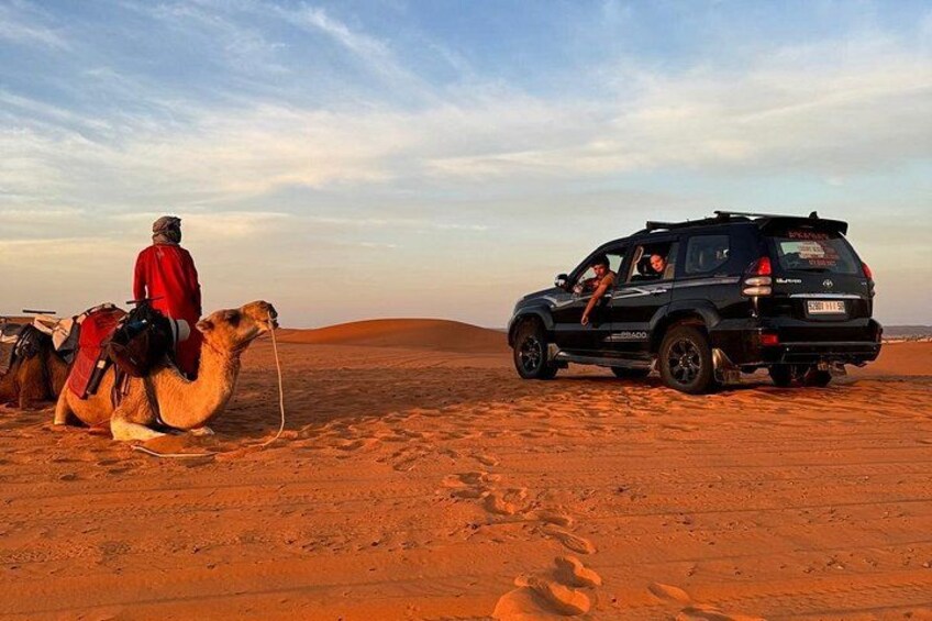 Paisaje desértico con un camello y un SUV negro. 2