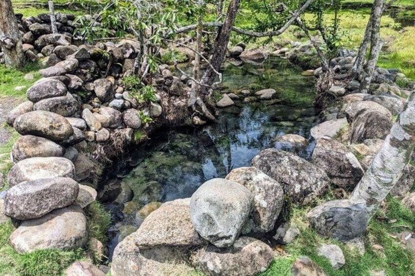 Boquete Hidden Gems: Hot springs and waterfalls Private tour 1